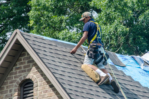 Best Residential Roofing Contractor  in Litchfield Park, AZ